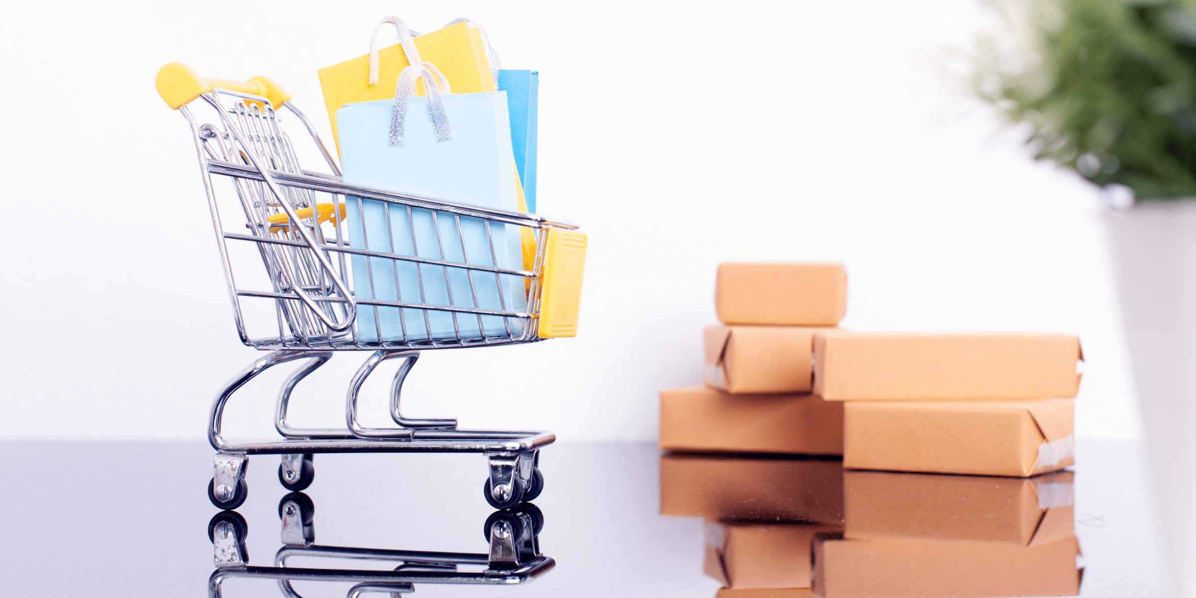 E-Shop und digitales Marketing für einen Fachhändler